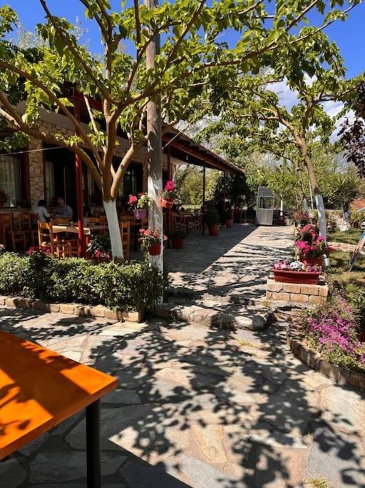 Family Woodland Oasis Vipgreece Apartment Kírinthos Екстериор снимка
