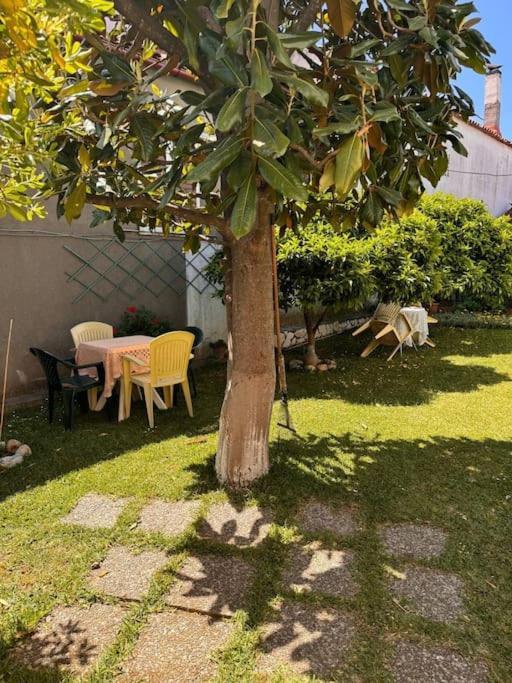 Family Woodland Oasis Vipgreece Apartment Kírinthos Екстериор снимка